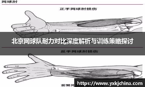 金狮贵宾会宾至如归显网址js